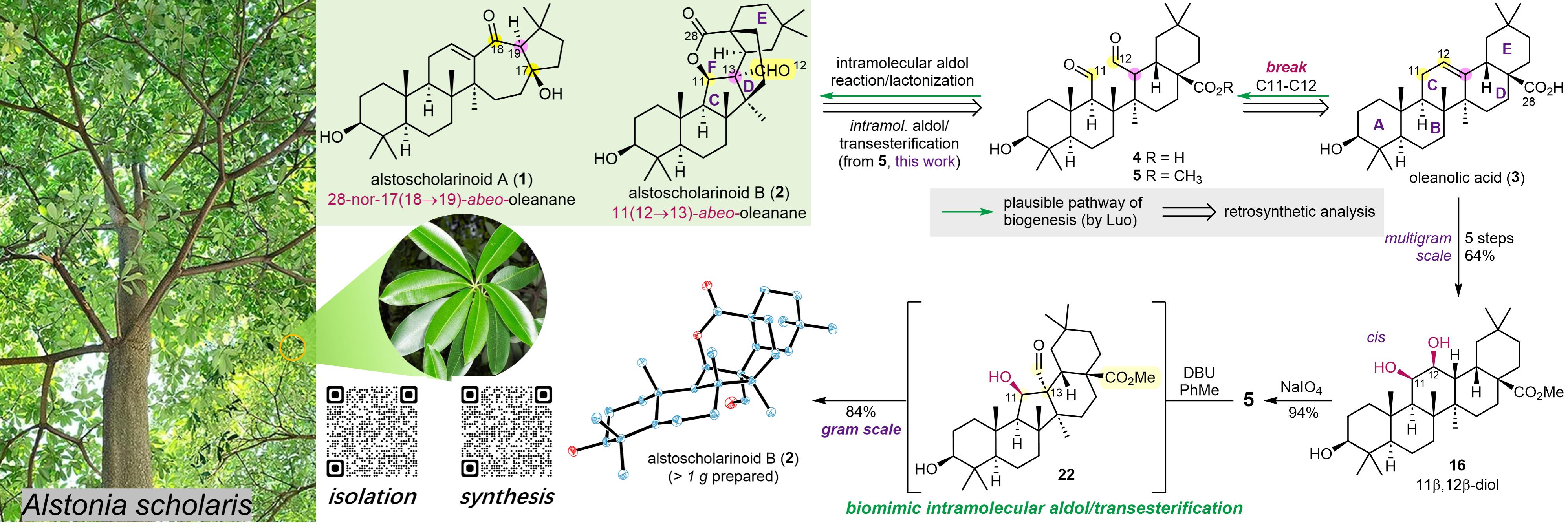The role of esters in nature
