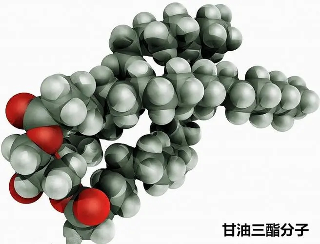 MW Of Glycerin.jpg