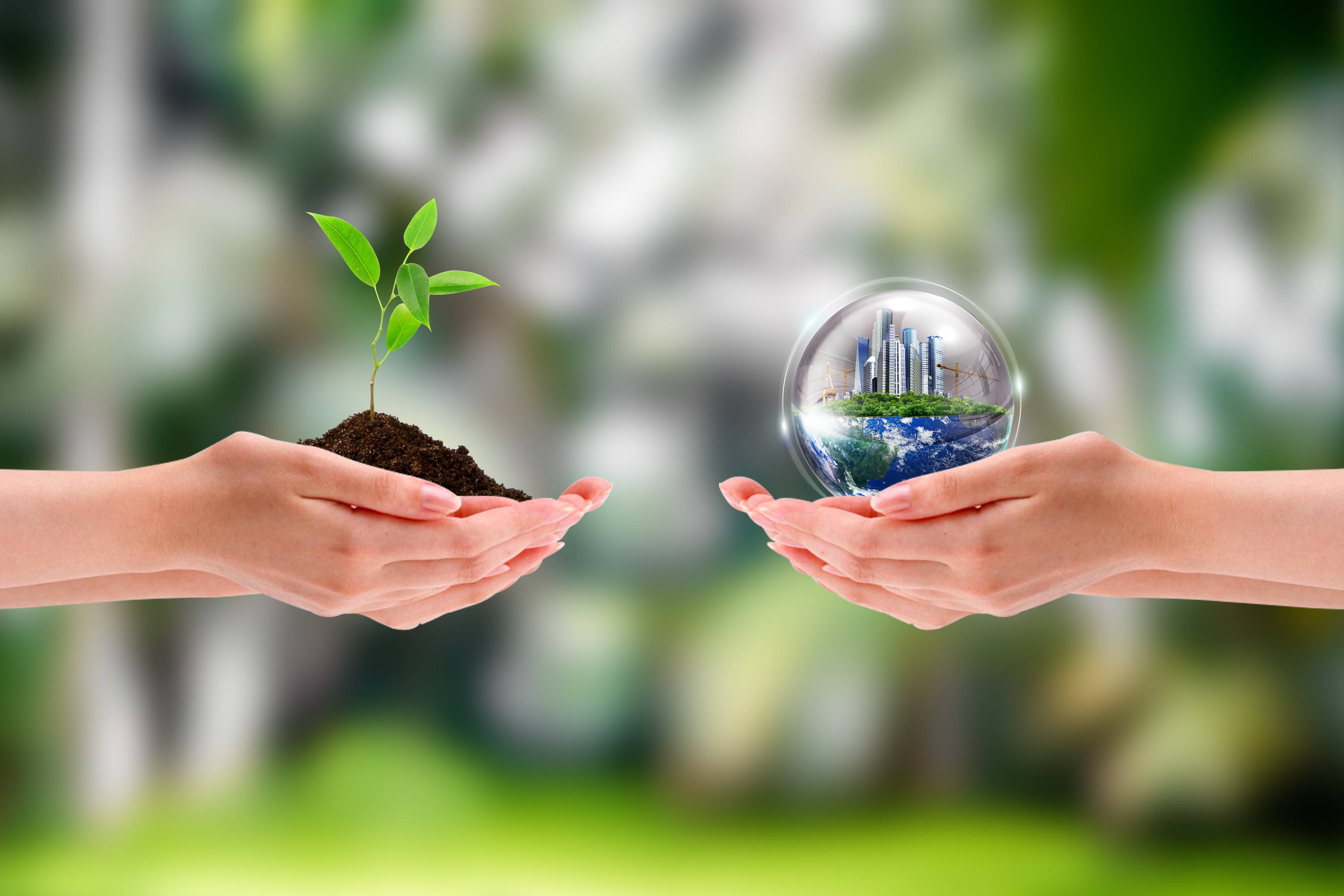 Sustainability and Innovation