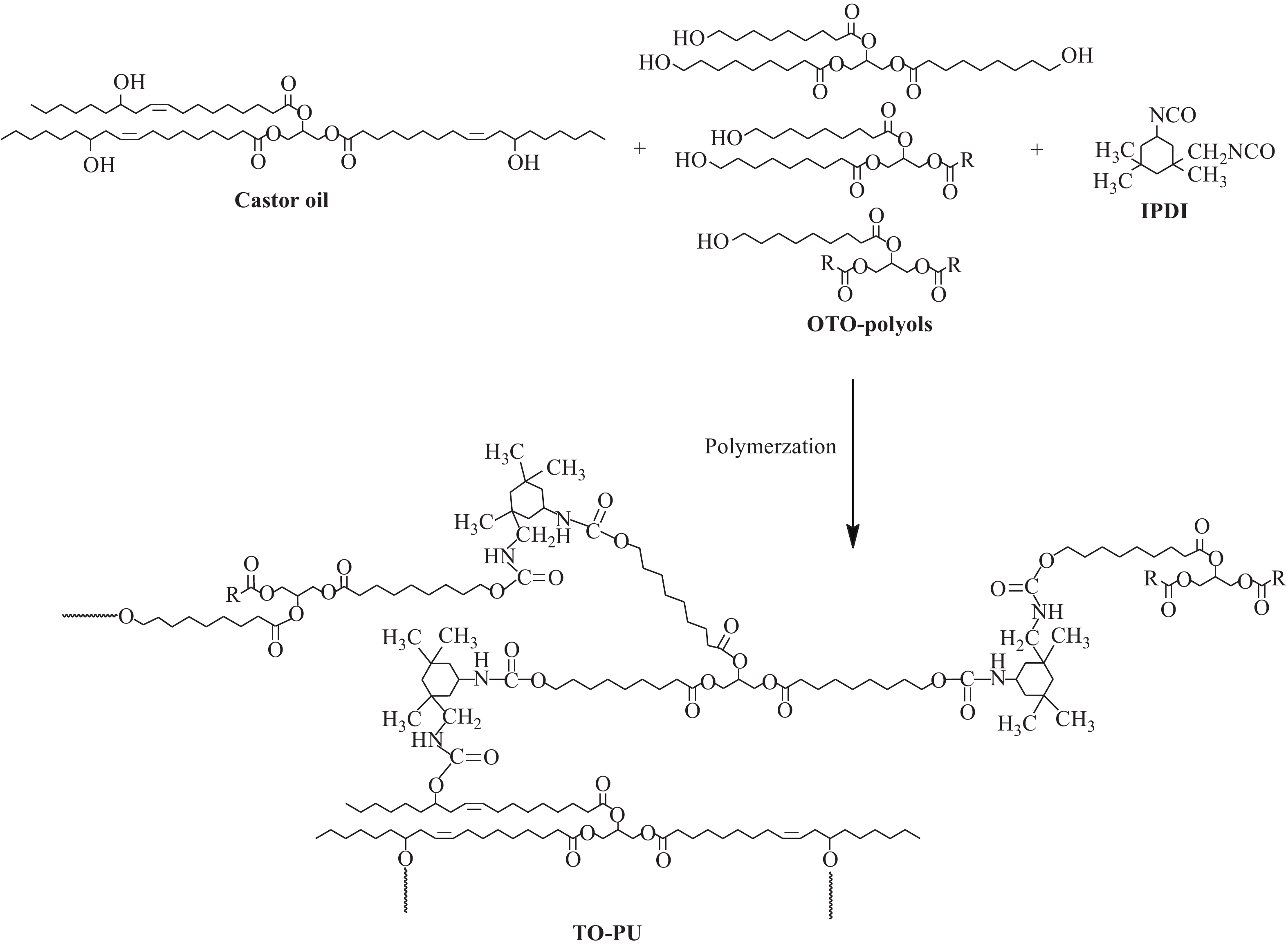 What Is The Hydrolysis Of Fatty Acids To Glycerol?