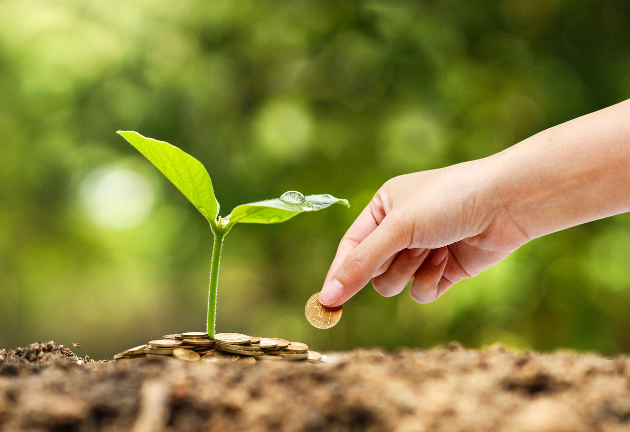 Social Responsibility
