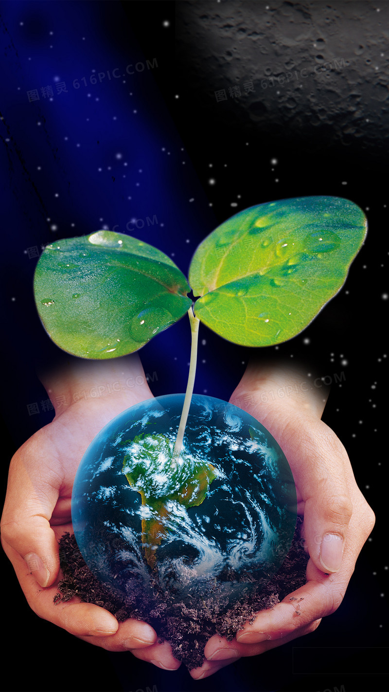 Environmental Stewardship